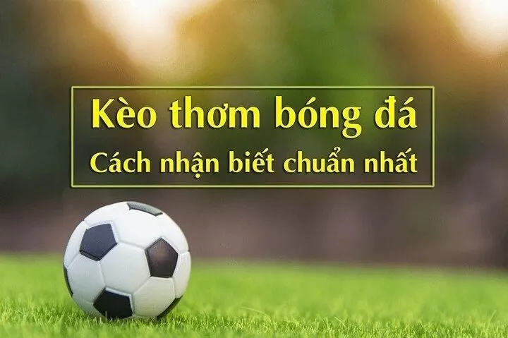 Giải Đáp Thắc Mắc Kèo Thơm Bóng Đá Là Gì 3 Một số cách nhận biết kèo thơm chuẩn nhất dành cho mọi người