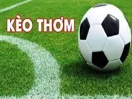 Giải Đáp Thắc Mắc Kèo Thơm Bóng Đá Là Gì 4 Không dựa vào sự lựa chọn của số đông mà cược theo