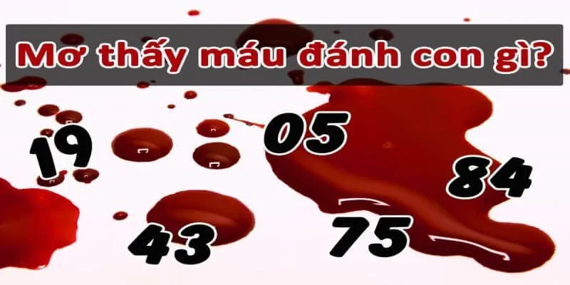 Máu là số mấy? Chuyên gia giải mã ý nghĩa bí ẩn 2 Giải mã giấc mơ thấy máu? Tốt hay xấu?